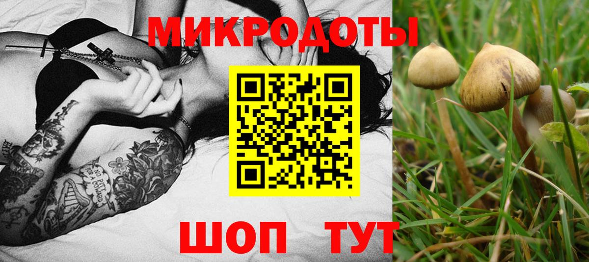 Псилоцибиновые грибы мицелий Красногорск